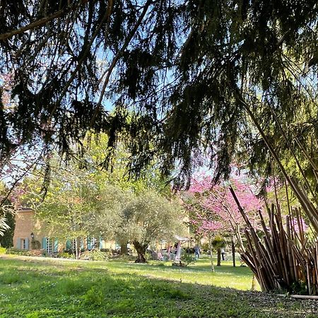 La Rebiere D'Or, B&B Et Gite Mouleydier Dış mekan fotoğraf