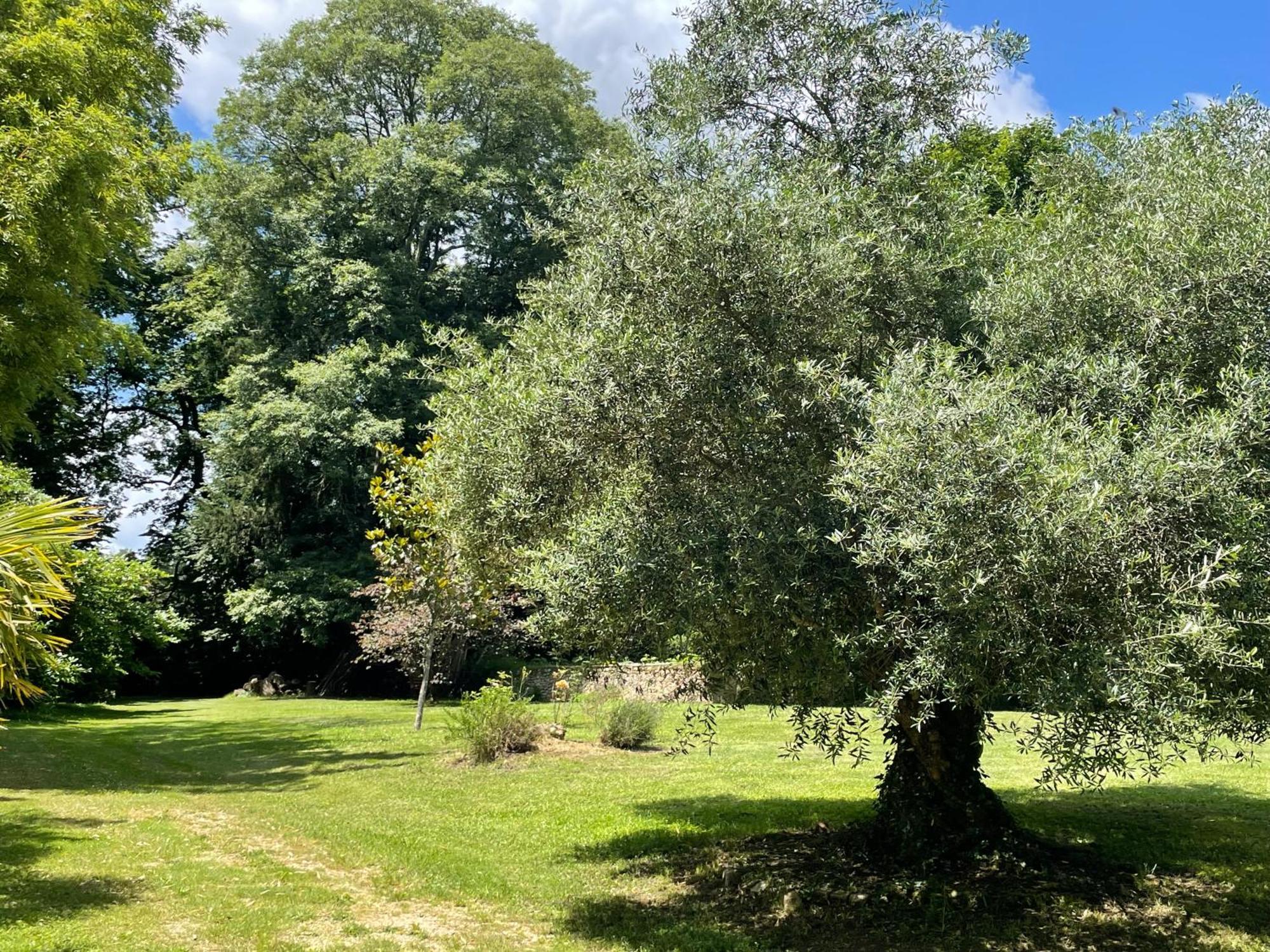 La Rebiere D'Or, B&B Et Gite Mouleydier Dış mekan fotoğraf